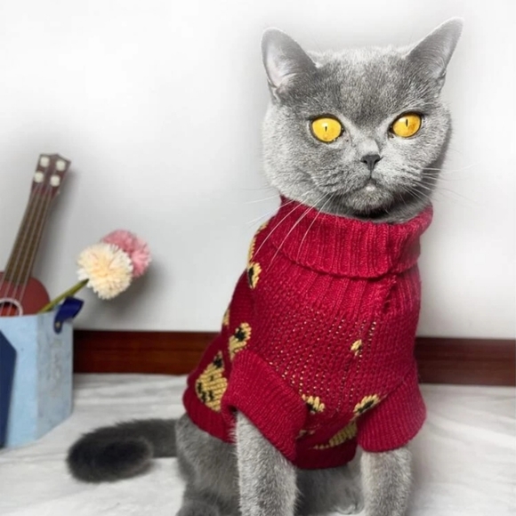 Pet Teddy Bear Sweater - Picture 5 of 9